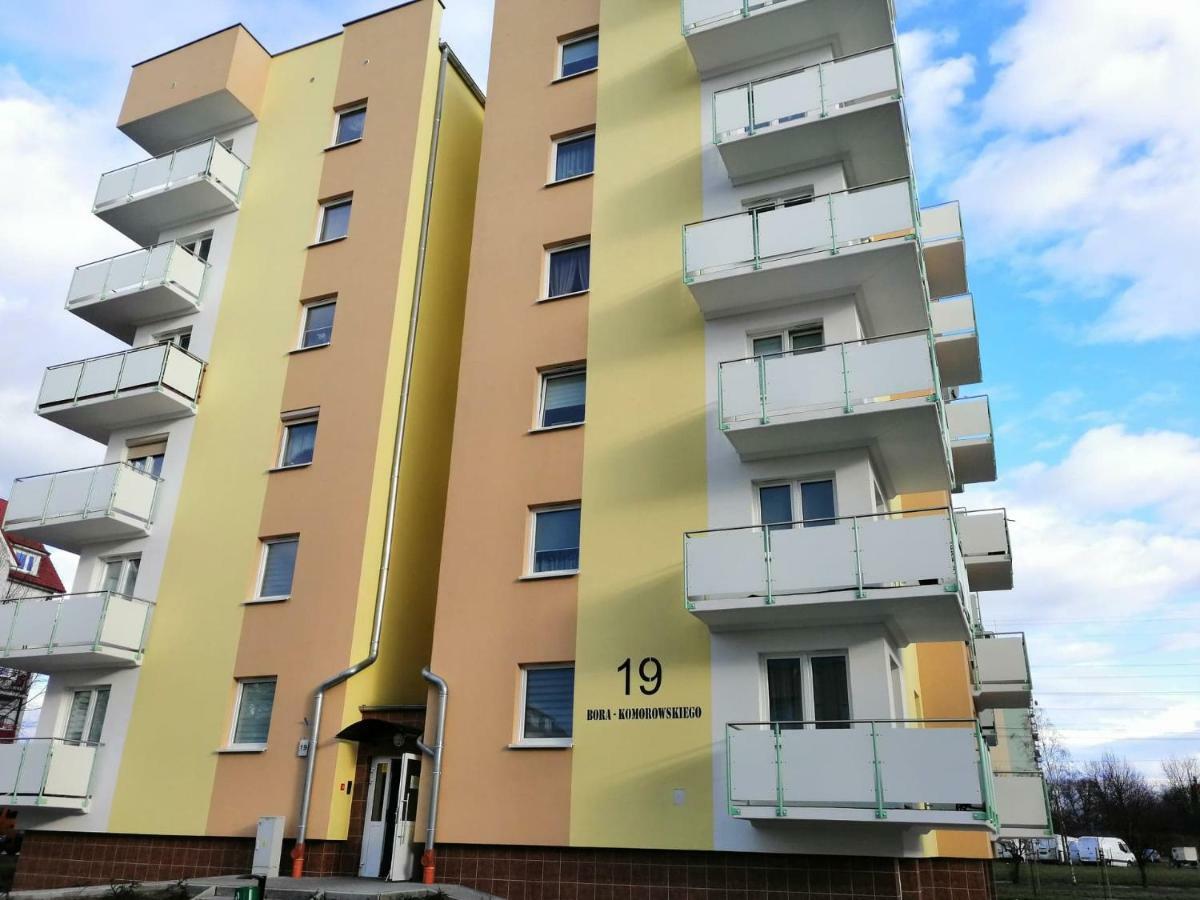 Studio A1 Gorzow Wielkopolski Dış mekan fotoğraf